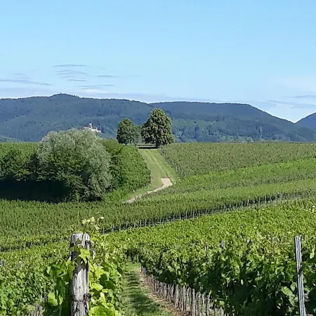 아파트 Gefaehrten *