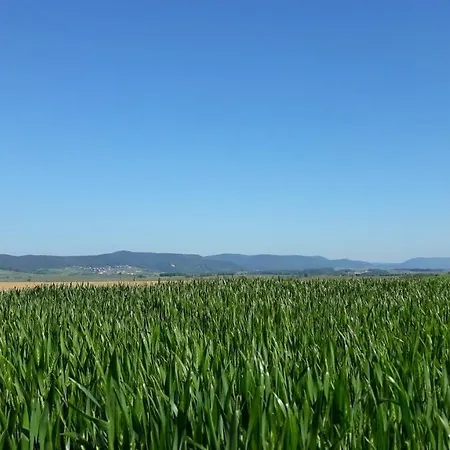 아파트 Gefaehrten *