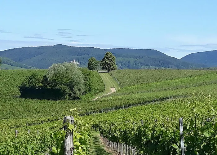 Апартаменты Gefaehrten *