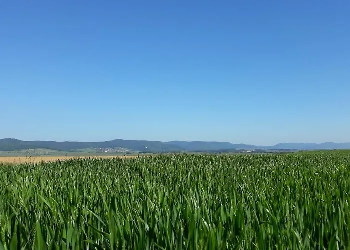 Апартаменты Gefaehrten *