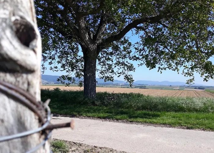 Апартаменты Gefaehrten *