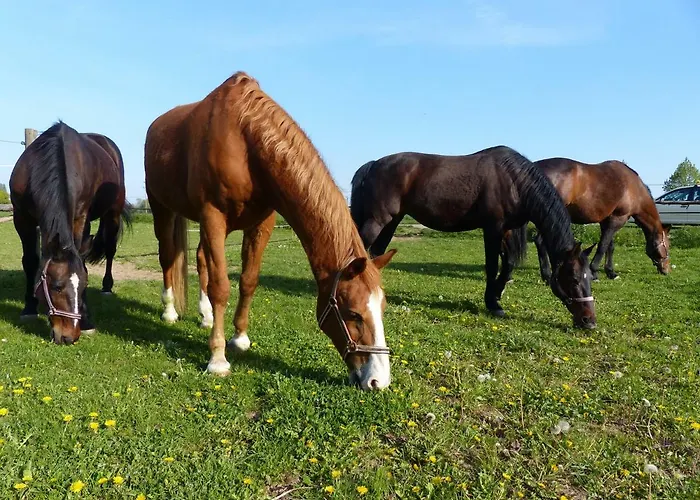 Gefaehrten Апартаменты *