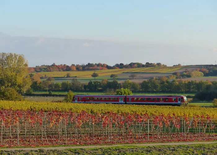 Gefaehrten Апартаменты Oberhausen (Sudliche Weinstrasse)