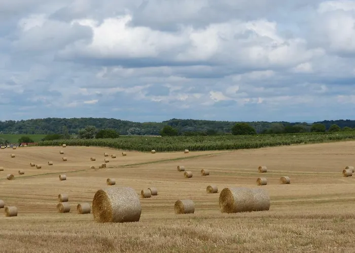 Gefaehrten * Oberhausen (Sudliche Weinstrasse)