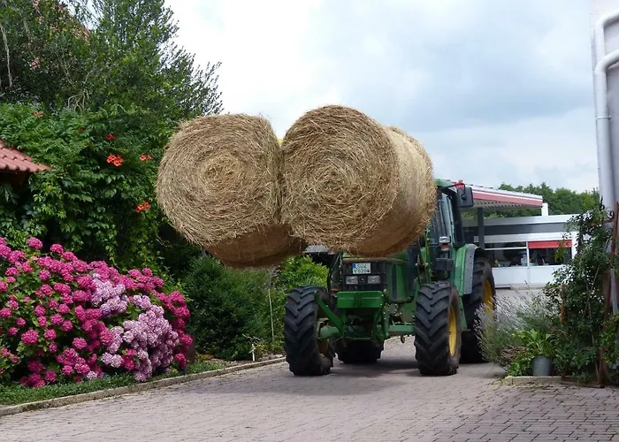 Gefaehrten * Oberhausen (Sudliche Weinstrasse)